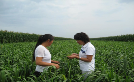 喜迎妇女十四大·巾帼力量｜辛文春：黑土地的坚强守护者